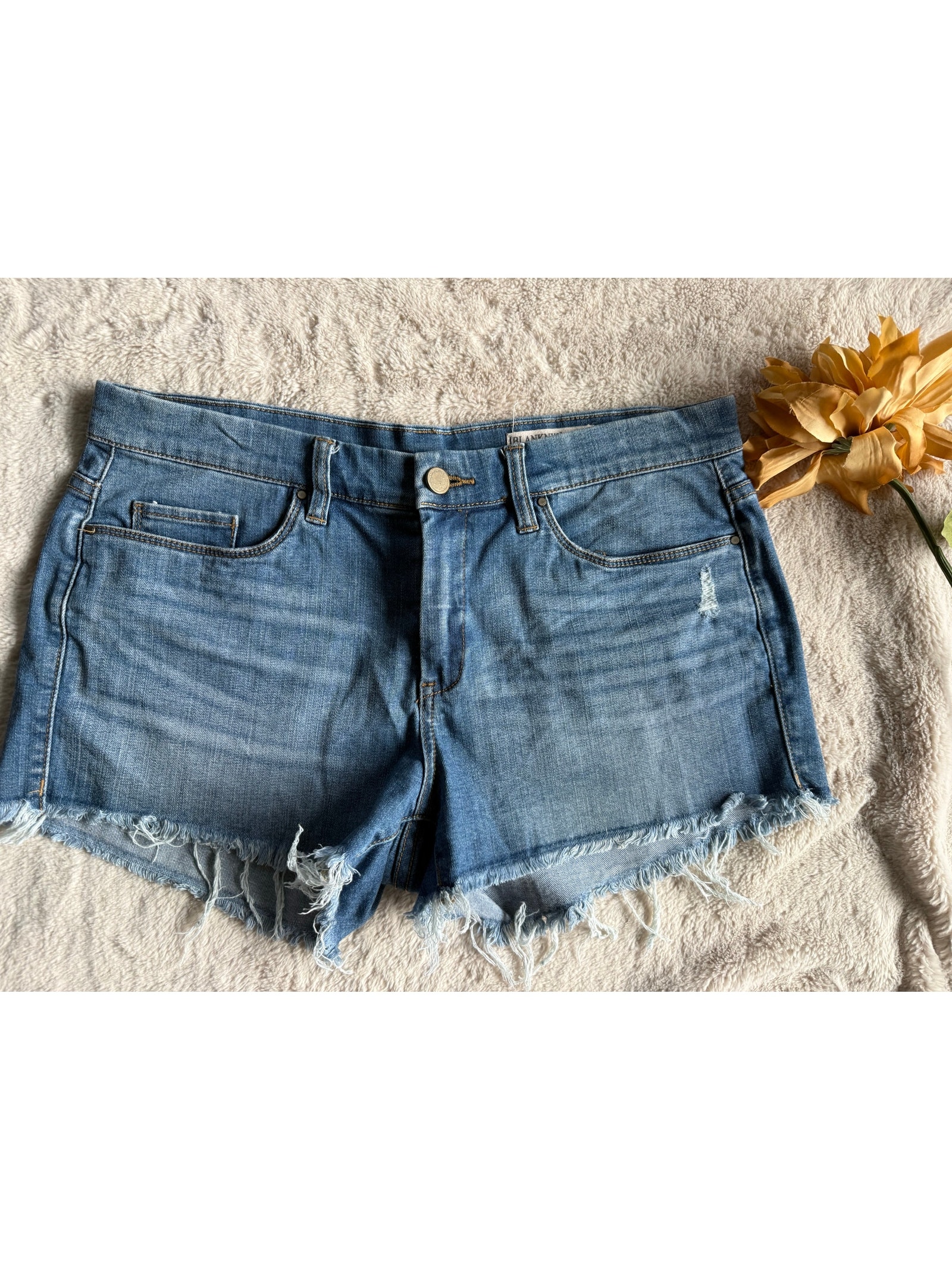 Blanknyc Little Queenie Jean Cut-Off Shorts Size 30